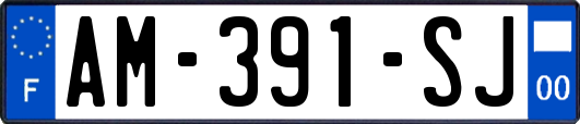 AM-391-SJ