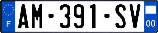 AM-391-SV