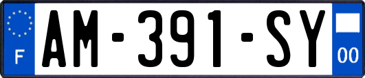 AM-391-SY