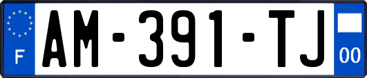 AM-391-TJ