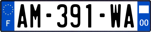 AM-391-WA
