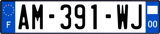 AM-391-WJ