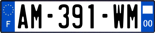 AM-391-WM