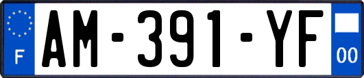 AM-391-YF