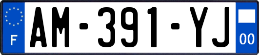 AM-391-YJ