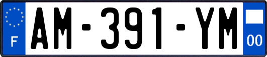 AM-391-YM