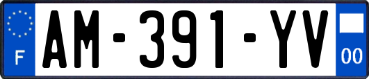 AM-391-YV