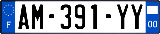 AM-391-YY