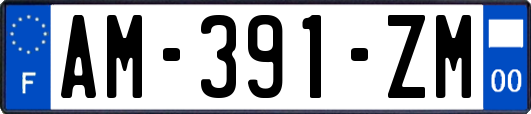 AM-391-ZM