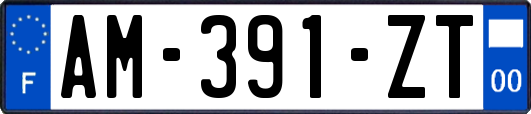 AM-391-ZT