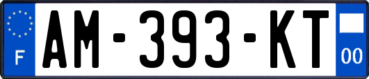 AM-393-KT