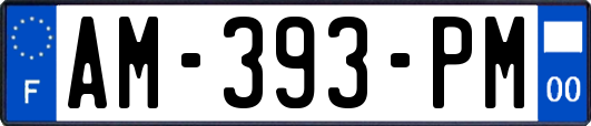 AM-393-PM
