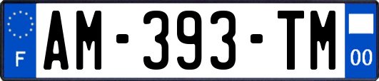 AM-393-TM