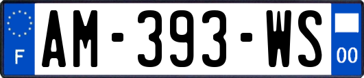 AM-393-WS