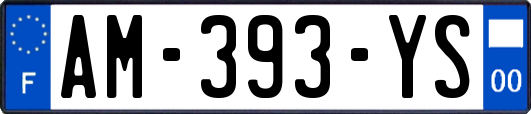 AM-393-YS