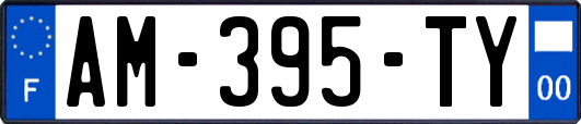 AM-395-TY