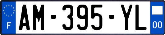 AM-395-YL