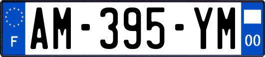 AM-395-YM