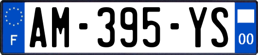 AM-395-YS