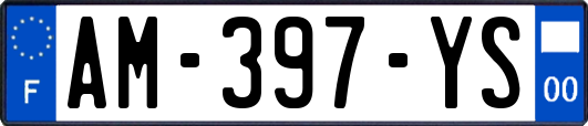AM-397-YS
