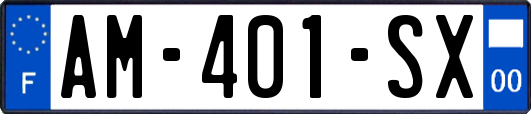 AM-401-SX