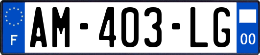 AM-403-LG