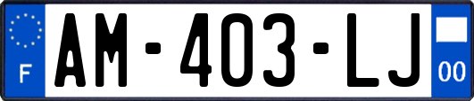 AM-403-LJ