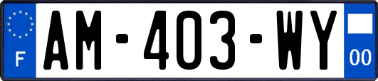 AM-403-WY