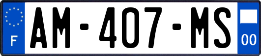 AM-407-MS