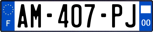 AM-407-PJ