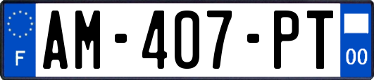 AM-407-PT
