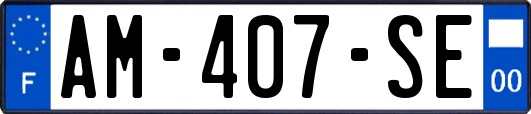 AM-407-SE