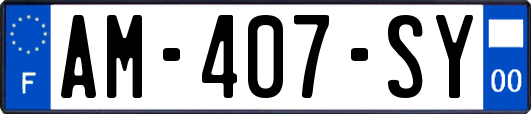 AM-407-SY