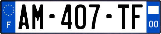 AM-407-TF