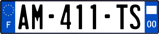 AM-411-TS