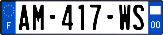 AM-417-WS