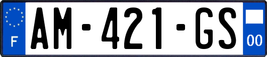 AM-421-GS