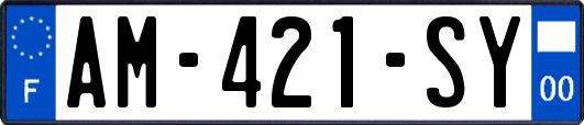 AM-421-SY