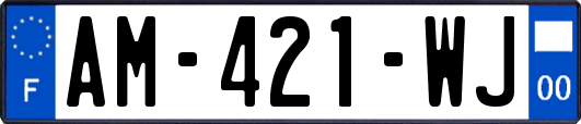 AM-421-WJ