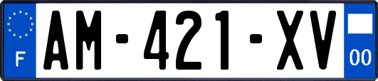 AM-421-XV