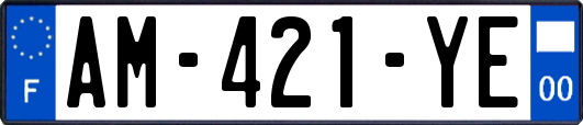 AM-421-YE