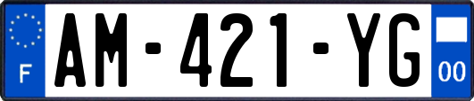 AM-421-YG