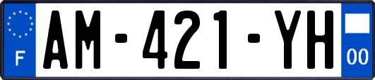 AM-421-YH