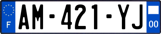 AM-421-YJ