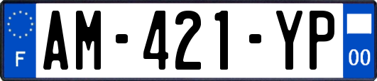 AM-421-YP