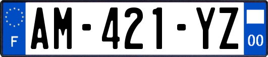 AM-421-YZ
