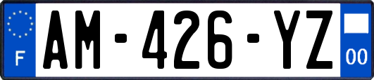 AM-426-YZ