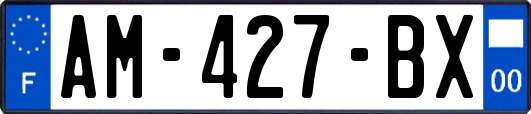 AM-427-BX