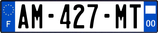 AM-427-MT
