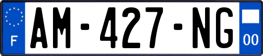 AM-427-NG